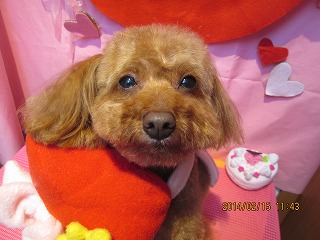 ファイル 7089-2.jpg