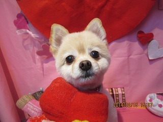 ファイル 7090-2.jpg