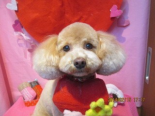 ファイル 7091-2.jpg