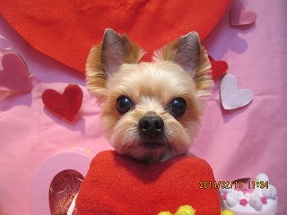 ファイル 7092-2.jpg