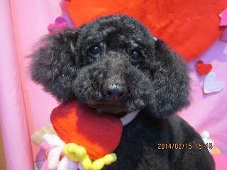 ファイル 7093-2.jpg