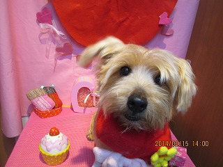 ファイル 7095-2.jpg