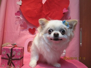 ファイル 7097-1.jpg