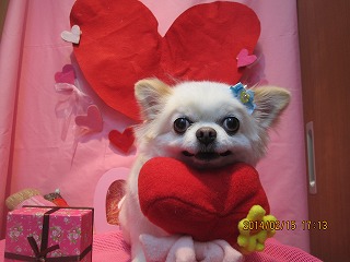 ファイル 7097-2.jpg