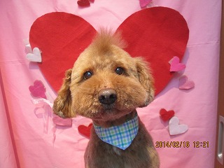 ファイル 7098-1.jpg