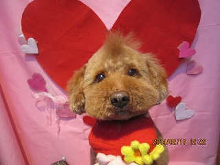 ファイル 7098-2.jpg