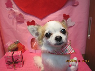 ファイル 7099-1.jpg