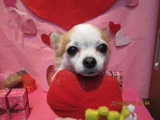 ファイル 7099-2.jpg