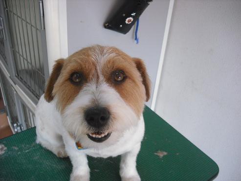 ファイル 71-1.jpg