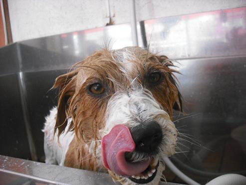 ファイル 71-2.jpg