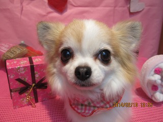 ファイル 7100-1.jpg