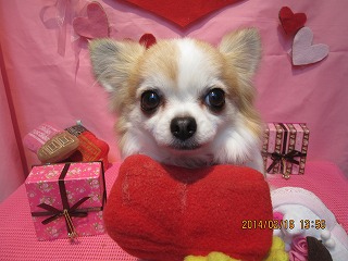 ファイル 7100-2.jpg