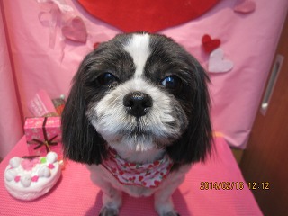 ファイル 7102-1.jpg