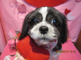 ファイル 7102-2.jpg