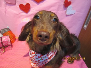 ファイル 7103-1.jpg