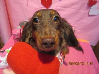 ファイル 7103-2.jpg