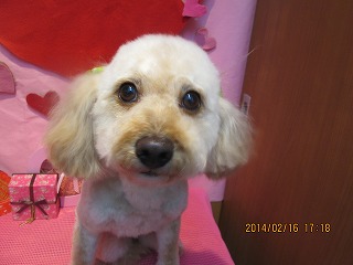 ファイル 7105-1.jpg