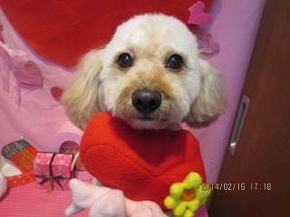 ファイル 7105-2.jpg