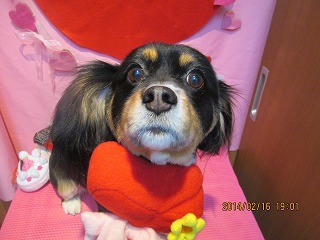 ファイル 7106-1.jpg