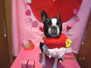 ファイル 7107-1.jpg