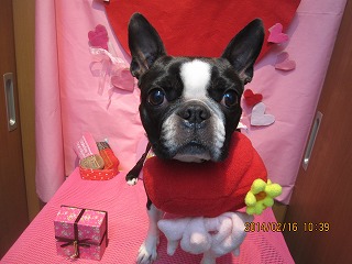 ファイル 7107-2.jpg