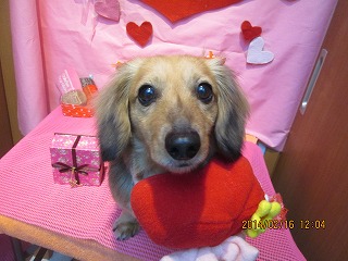 ファイル 7108-2.jpg