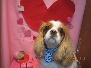 ファイル 7109-1.jpg