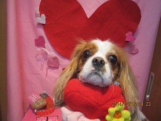 ファイル 7109-2.jpg