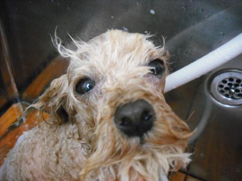 ファイル 711-2.jpg