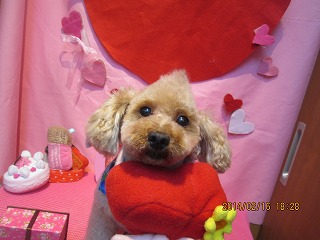 ファイル 7111-2.jpg