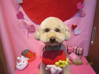 ファイル 7112-2.jpg