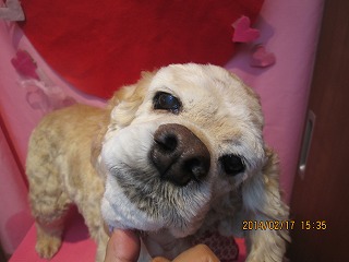 ファイル 7113-1.jpg