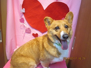 ファイル 7114-1.jpg