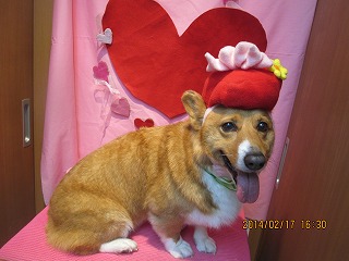 ファイル 7114-2.jpg