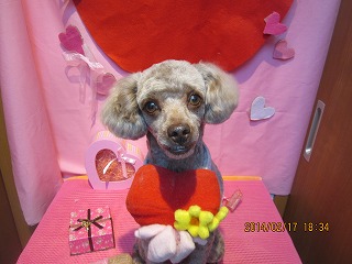 ファイル 7115-2.jpg