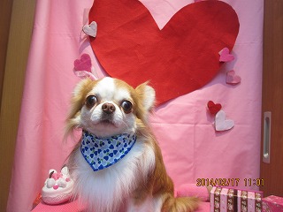 ファイル 7116-1.jpg