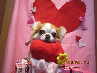 ファイル 7116-2.jpg