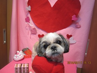 ファイル 7117-2.jpg