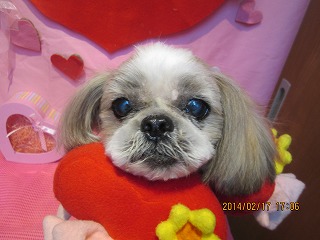 ファイル 7118-2.jpg