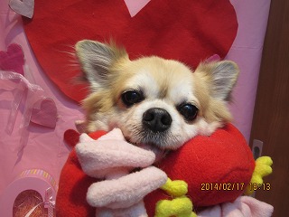 ファイル 7119-2.jpg