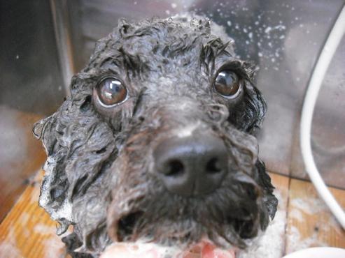 ファイル 712-2.jpg