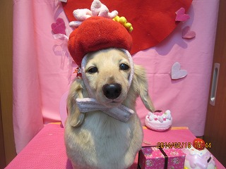 ファイル 7121-2.jpg