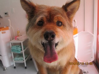 ファイル 7122-1.jpg