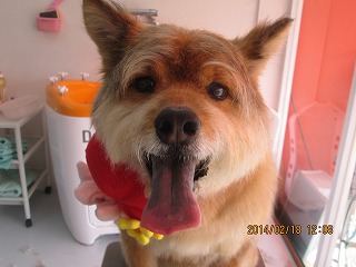 ファイル 7122-2.jpg