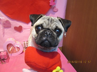 ファイル 7123-2.jpg