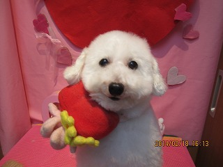 ファイル 7124-1.jpg