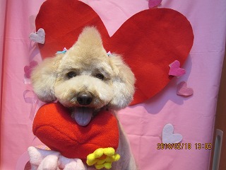 ファイル 7125-2.jpg