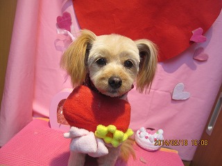 ファイル 7126-2.jpg