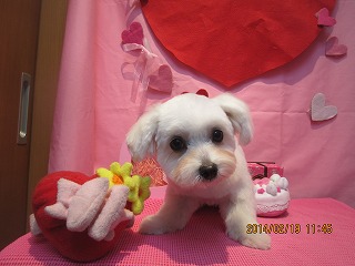 ファイル 7127-2.jpg