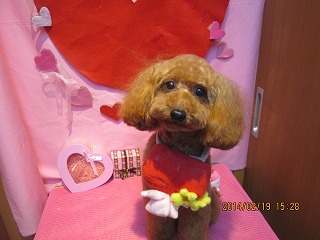 ファイル 7128-2.jpg